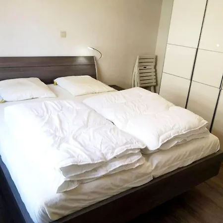 For 6 Guests In