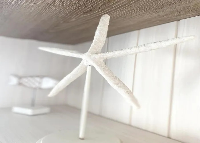 In Near The Appartement *